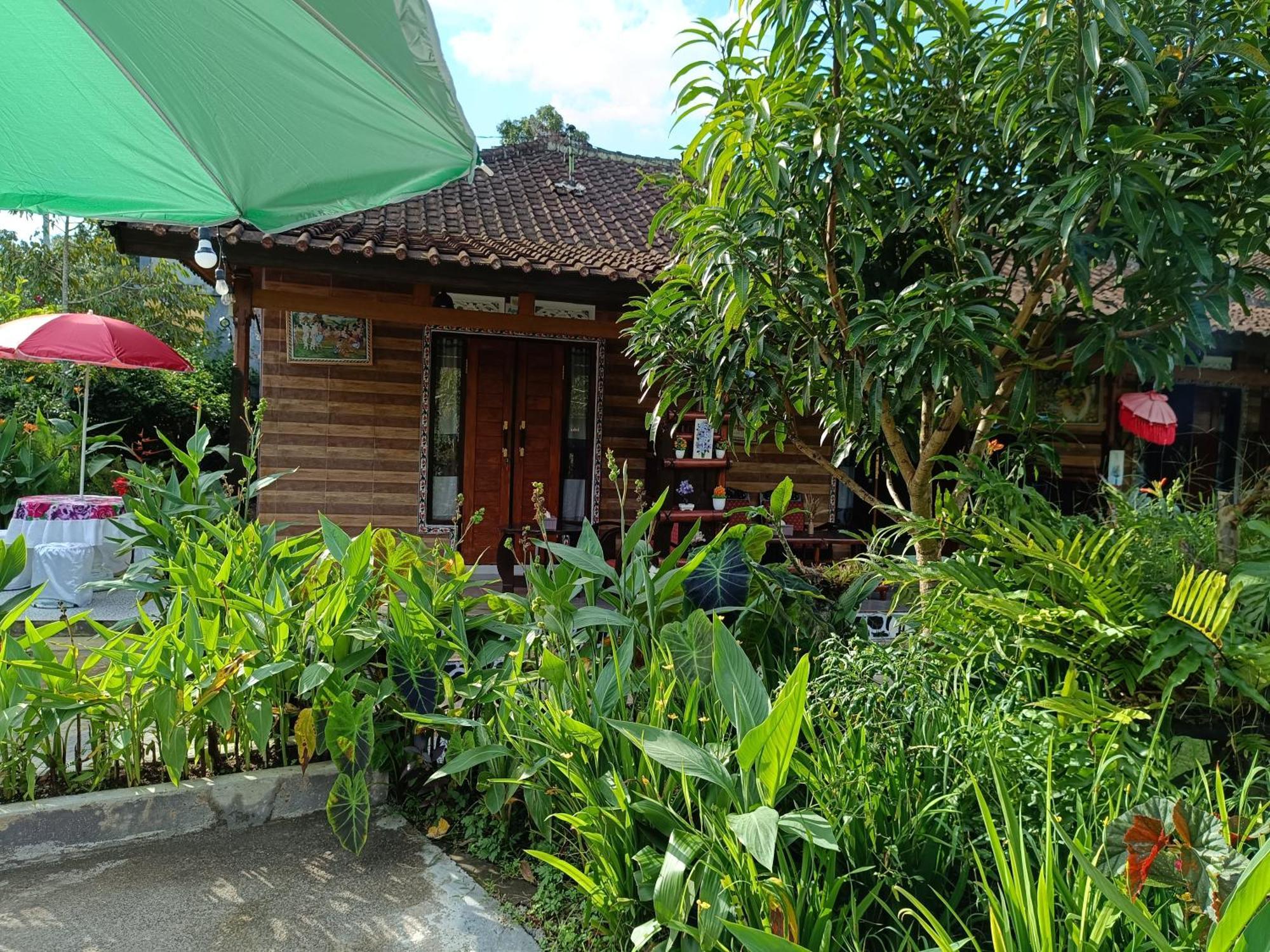 Gosela Bali Apartman Munduk Kültér fotó