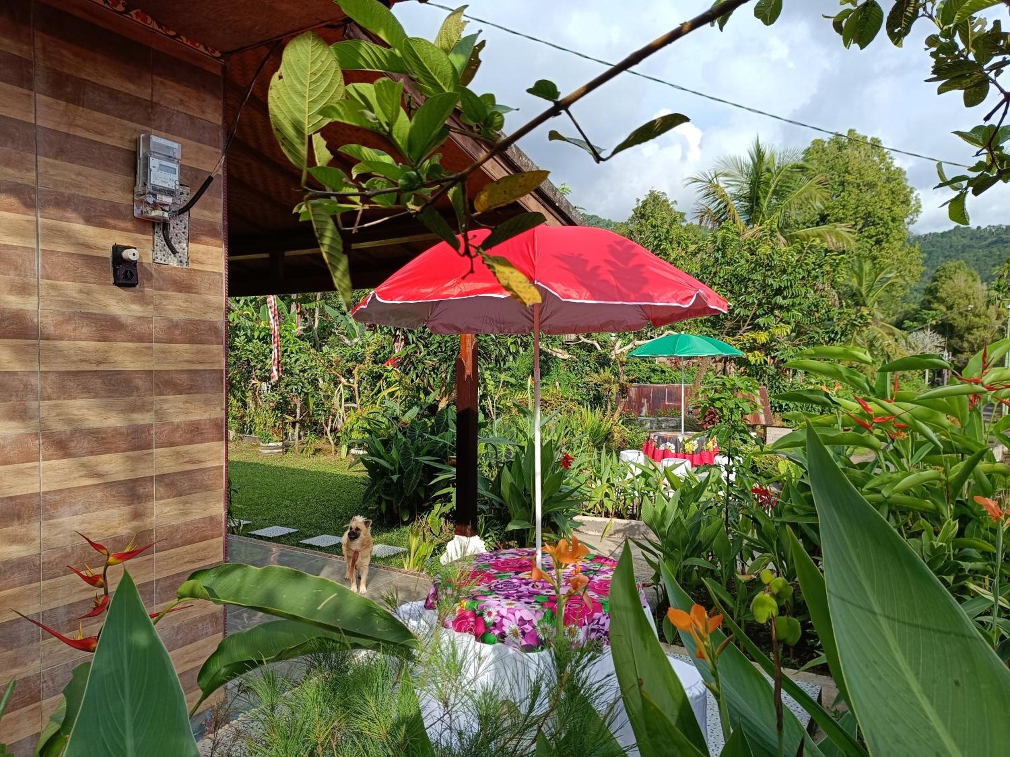 Gosela Bali Apartman Munduk Kültér fotó